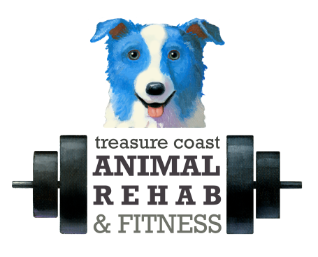 Treasure Coast Animal Rehab & Fitness in Vero Beach, Florida.