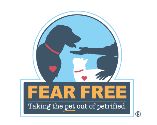 Fear Free taking the pet out of petrified