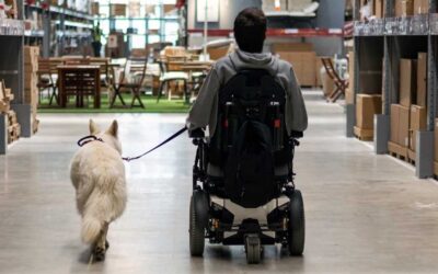 Understanding the Differences Between Service Dogs and Emotional Support Dogs