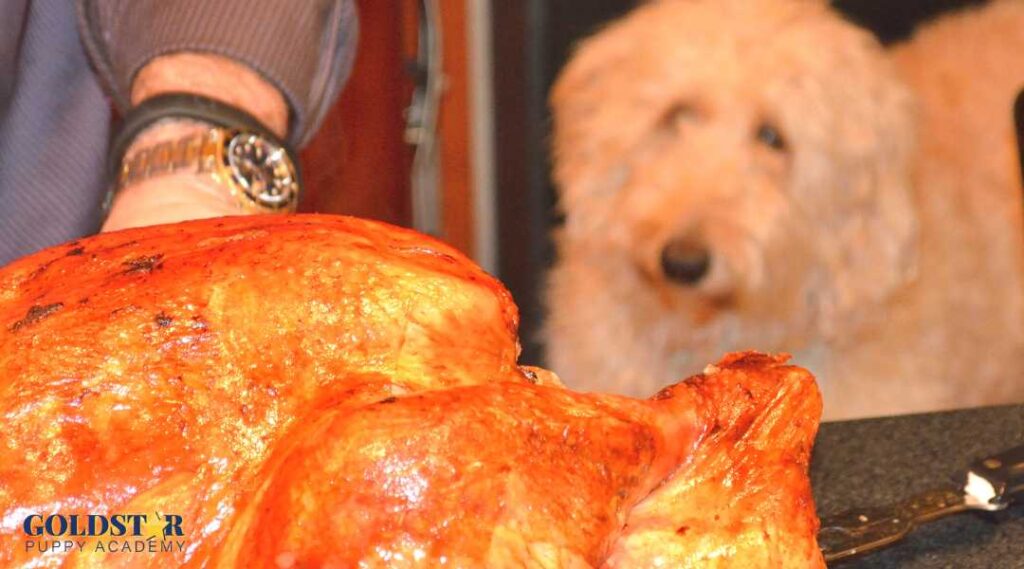 Happy dog licking lips near man cutting a turkey