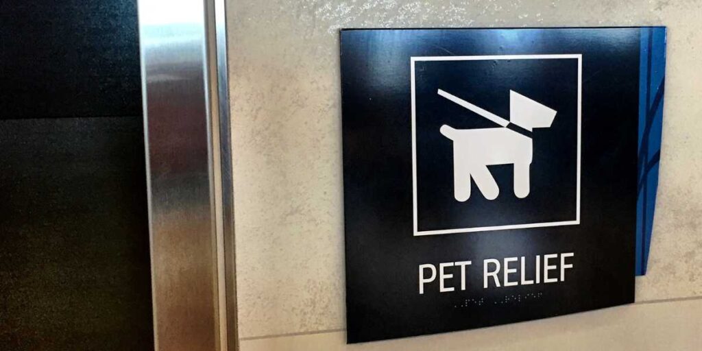 Pet relief area at the airport