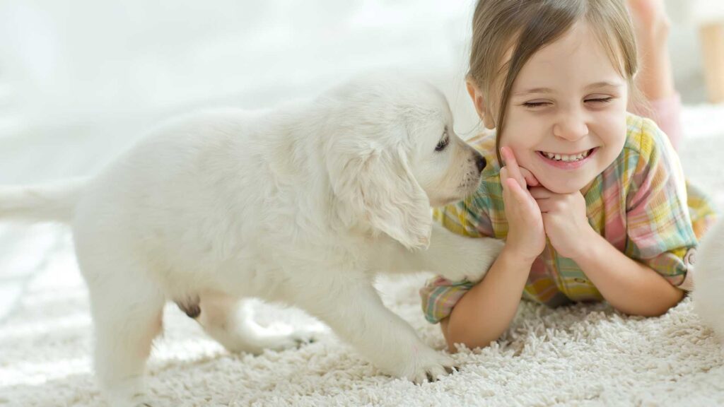 Online Puppy Training Course – The First 30 Days with Your Puppy