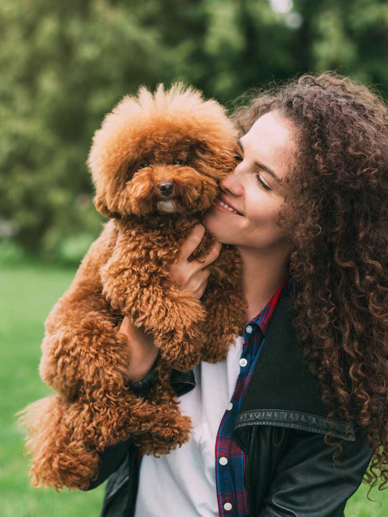 Smiling woman lovingly hugging her fluffy toy poodle in a green park.