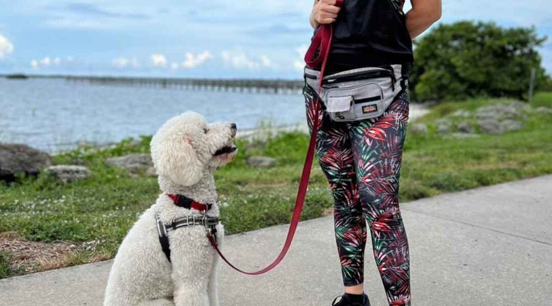 Choosing the Right Dog for Your Family: A Treasure Coast Guide