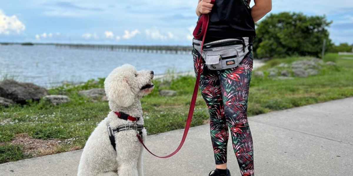 Dog practicing leash training at Riverside Park in Vero Beach with trainer
