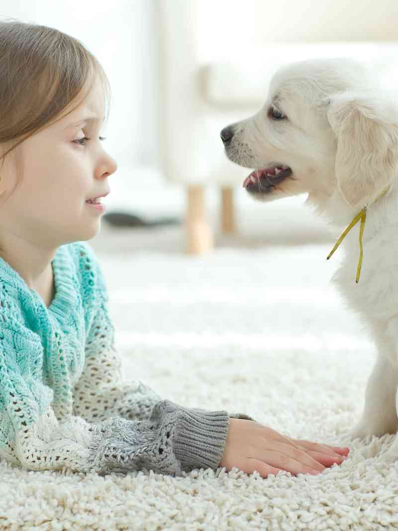 A young girl and a golden retriever puppy making eye contact on a soft white rug, symbolizing trust and bonding during early puppy training.
