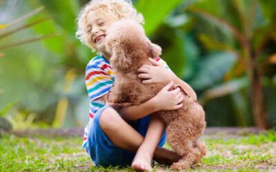 Is Summer the Best Time to Get a Puppy?
