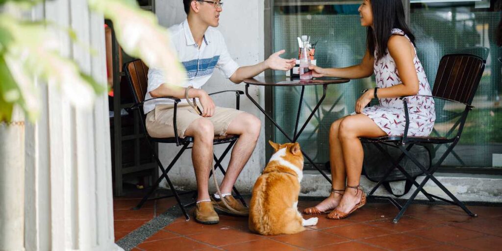 A well-behaved Shiba Inu sitting calmly on the floor next to a couple dining at a dog-friendly restaurant patio on the Treasure Coast.