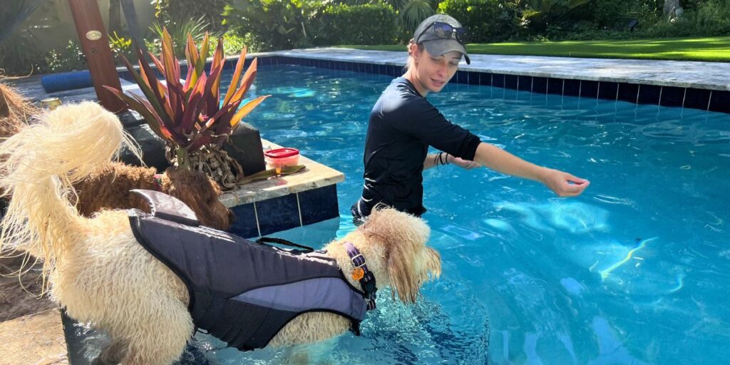 Vero Beach Dog Trainer’s Guide to Summer Water Safety & Pool Awareness for Puppies