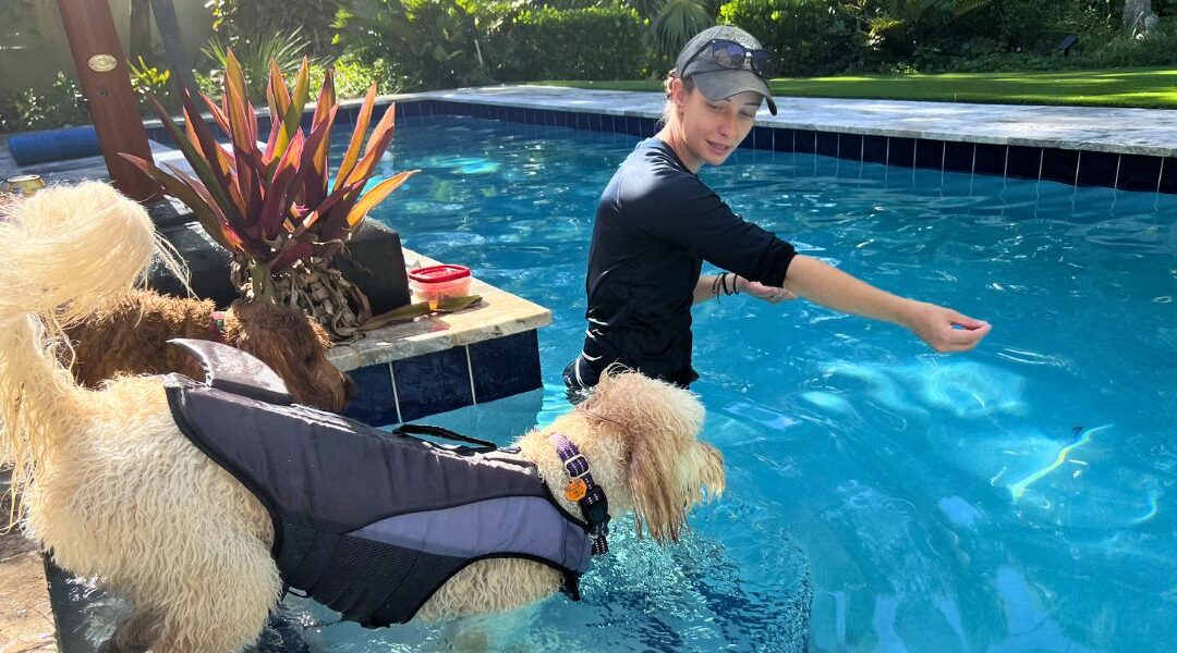 Vero Beach Dog Trainer’s Guide to Summer Water Safety & Pool Awareness for Puppies