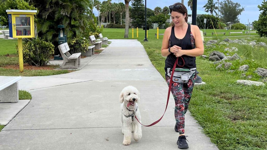 A professional dog trainer walking a fluffy white dog on a leash in a Vero Beach park.