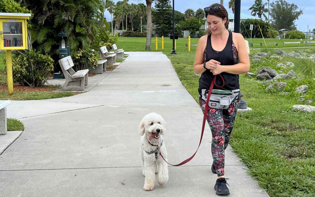 The Benefits of Board and Train for Puppies